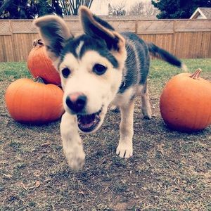 Meet your Posher, Carolyn